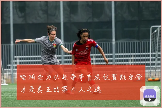 哈珀全力以赴争夺首发位置凯尔登才是真正的第六人之选
