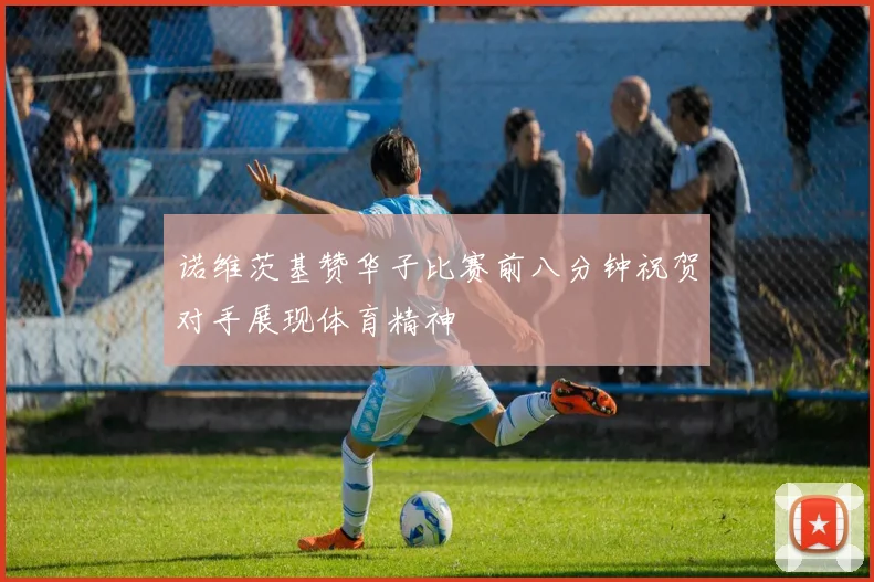 诺维茨基赞华子比赛前八分钟祝贺对手展现体育精神