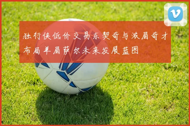 独行侠低价交易东契奇与浓眉奇才布局羊眉萨尔未来发展蓝图